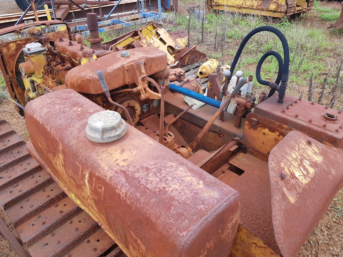 ZM001427_10.jpg